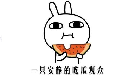 娱乐吃瓜酱梗,吃瓜酱背后的那些事儿