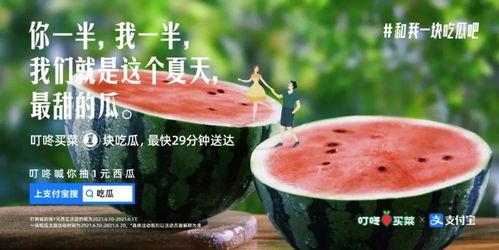 娱乐圈文案吃瓜,揭秘明星们的“吃瓜”大作战