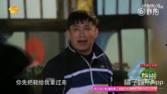 娱乐君吃瓜黄磊是谁呀,黄磊背后的故事与争议