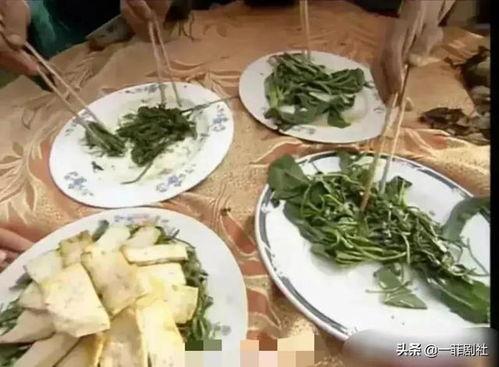 吃瓜娱乐圈都在哪吃的,揭秘“吃瓜”圣地