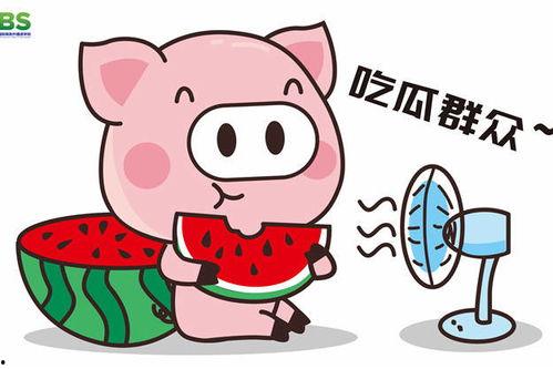 娱乐吃瓜酱发财,揭秘明星财富背后的秘密