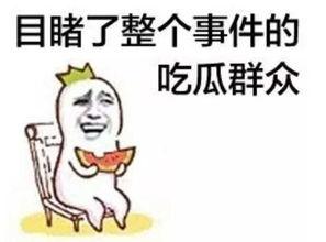 娱乐评论大赏吃瓜群众,吃瓜群众热议焦点大盘点