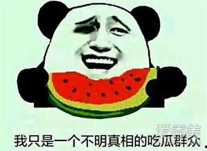 吃娱乐圈的瓜啥意思,吃娱乐圈的瓜，揭秘明星幕后故事