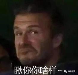 娱乐吃瓜翁,揭秘娱乐圈幕后故事