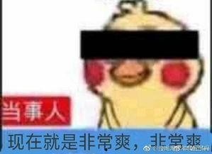 这几年吃的娱乐瓜叫什么,盘点近年热门娱乐瓜