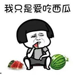 娱乐圈吃瓜须知