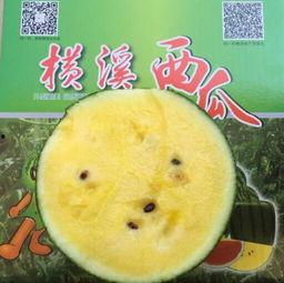 娱乐吃瓜图片图文素材大全,吃瓜图鉴，带你领略明星幕后故事