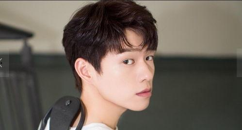 娱乐吃瓜酱王晨正