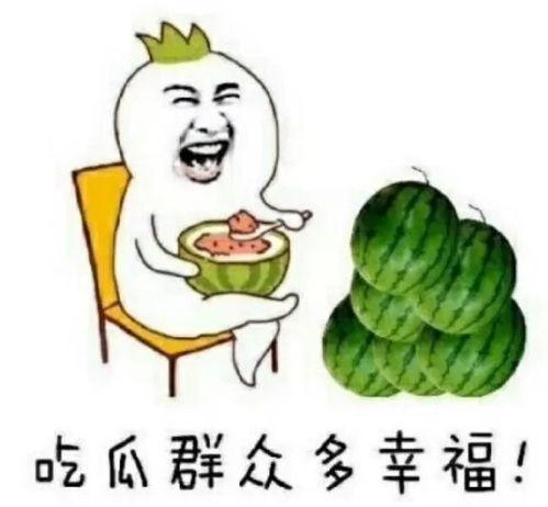 晋江吃瓜娱乐圈