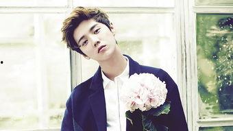 吃瓜娱乐鹿晗完整版,完整版幕后故事大公开