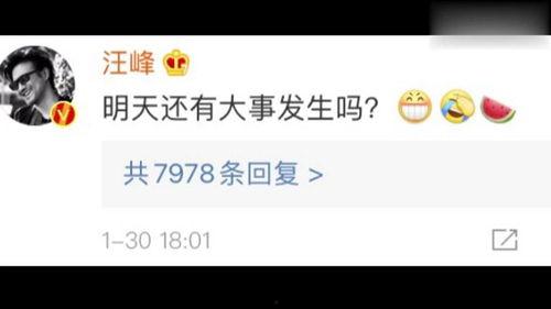 娱乐吃瓜718主页,718主页带你吃瓜探秘